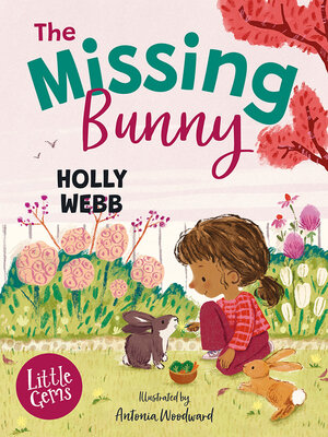 cover image of The Missing Bunny